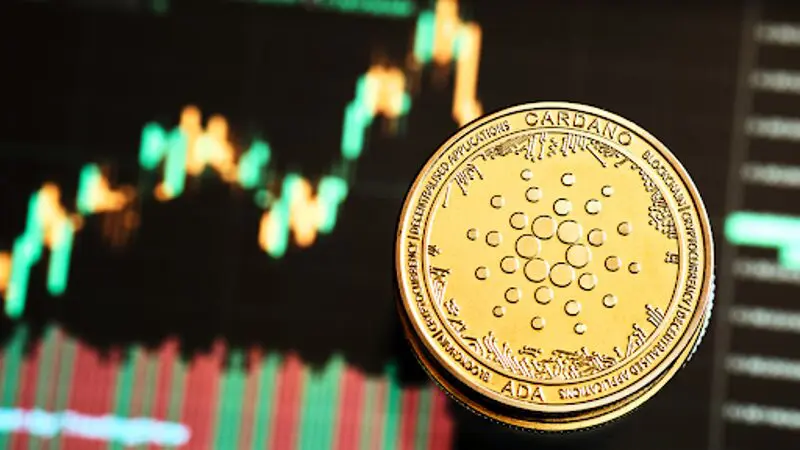 A Cardano pénztárcájának növekedése megugrik