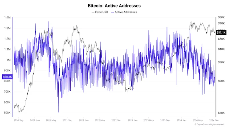 A Bitcoin akt&iacute;v c&iacute;mek grafikonja &aacute;rfolyam &aacute;tfed&eacute;ssel, amely bemutatja a h&aacute;l&oacute;zati aktivit&aacute;s ingatag trendjeit 2020 &eacute;s 2024 k&ouml;z&ouml;tt.