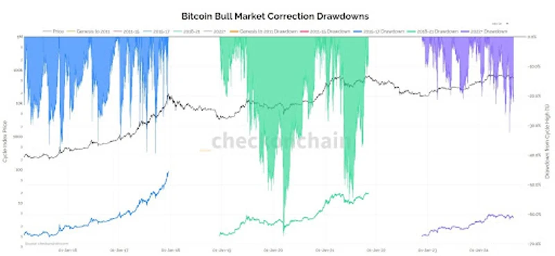 Grafikon, amely bemutatja a Bitcoin bikapiaci korrekci&oacute;s mint&aacute;it t&ouml;bb cikluson kereszt&uuml;l.